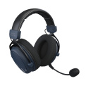 dark project hs4 wireless