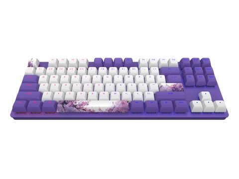 Klawiatura Dark Project One 87 Violet Horizons RGB ANSI (ENG) Klawiatura Dark Project One 87 Violet Horizons RGB ANSI (ENG)