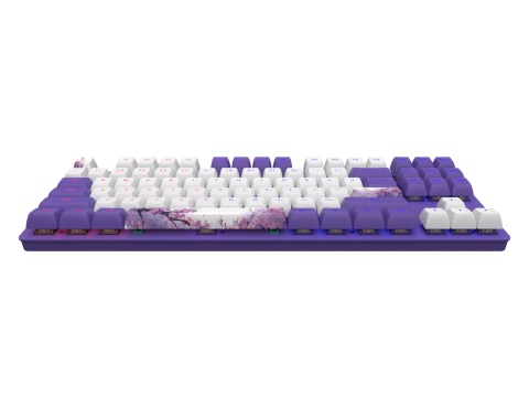 Klawiatura Dark Project One 87 Violet Horizons RGB ANSI (ENG) Klawiatura Dark Project One 87 Violet Horizons RGB ANSI (ENG)