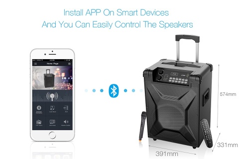 Głośnik Fenda T2 Bluetooth + Karaoke